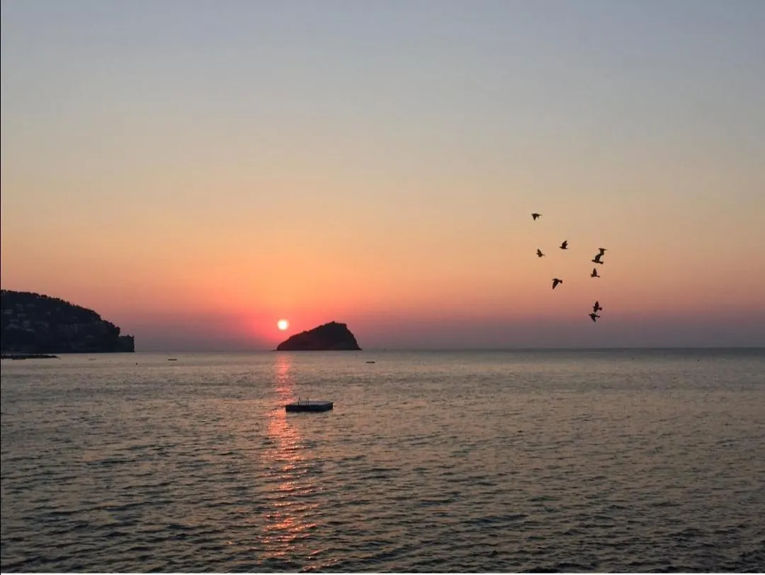 Cameretta Sul Mare Spotorno Homestay